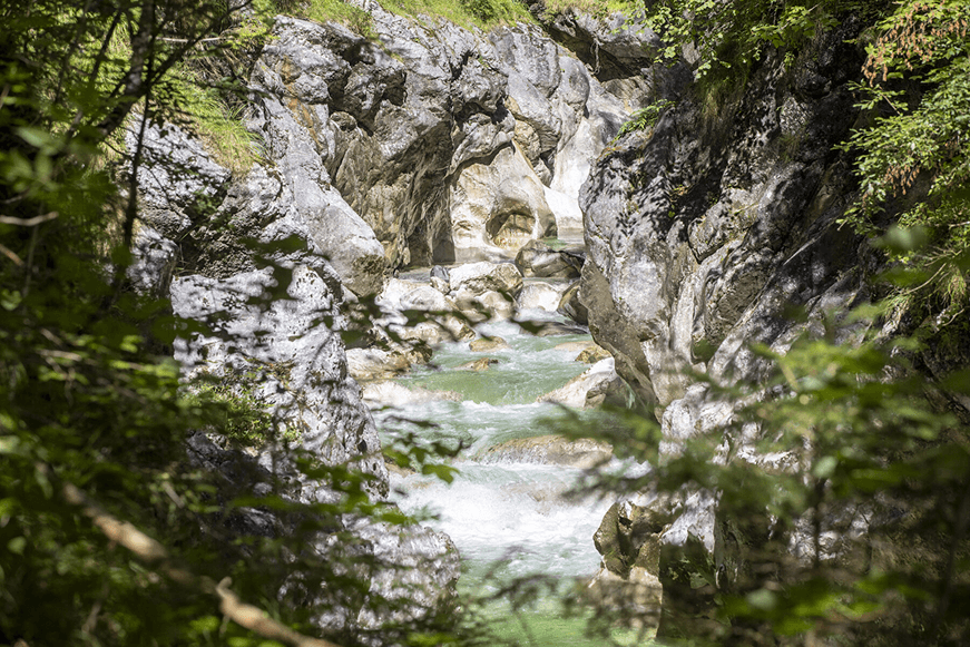 Wild Water Nature Experience